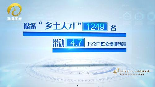 国产精品久久久久久久毛片,探寻久久久久久久毛片的魅力与内涵